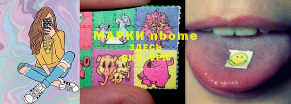 гидра Алексин