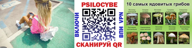наркошоп  Омутнинск  Псилоцибиновые грибы мицелий 